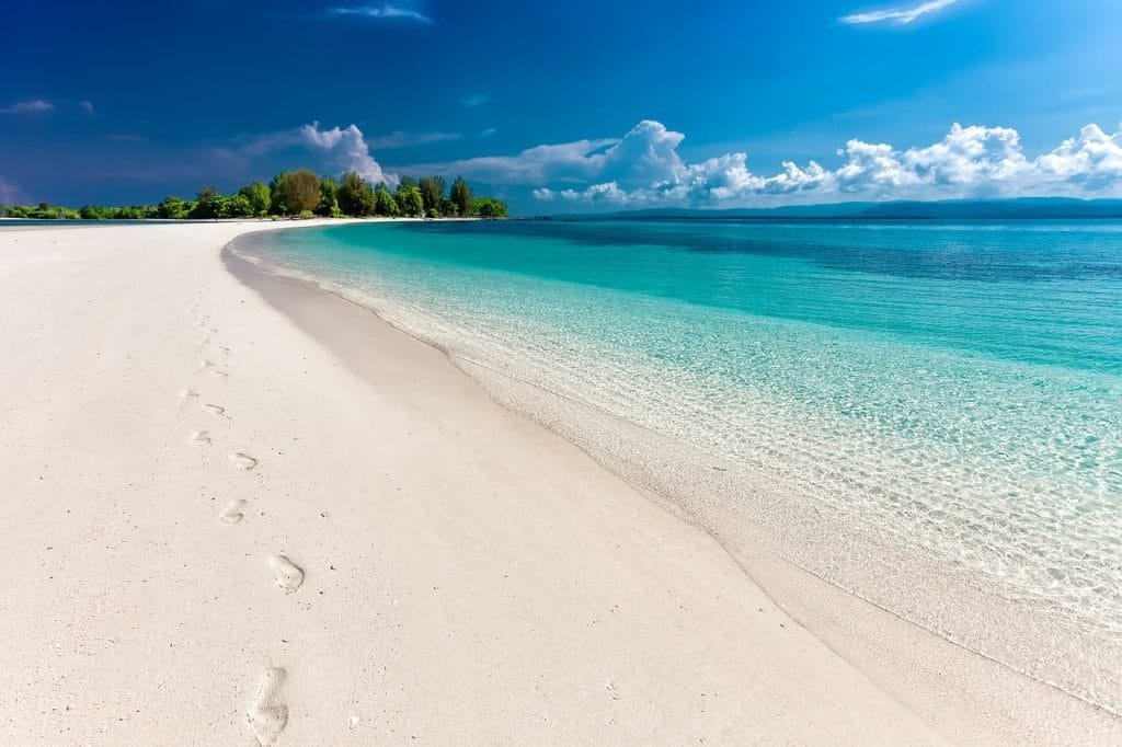Beach scene under blue sky with palm trees in the distance